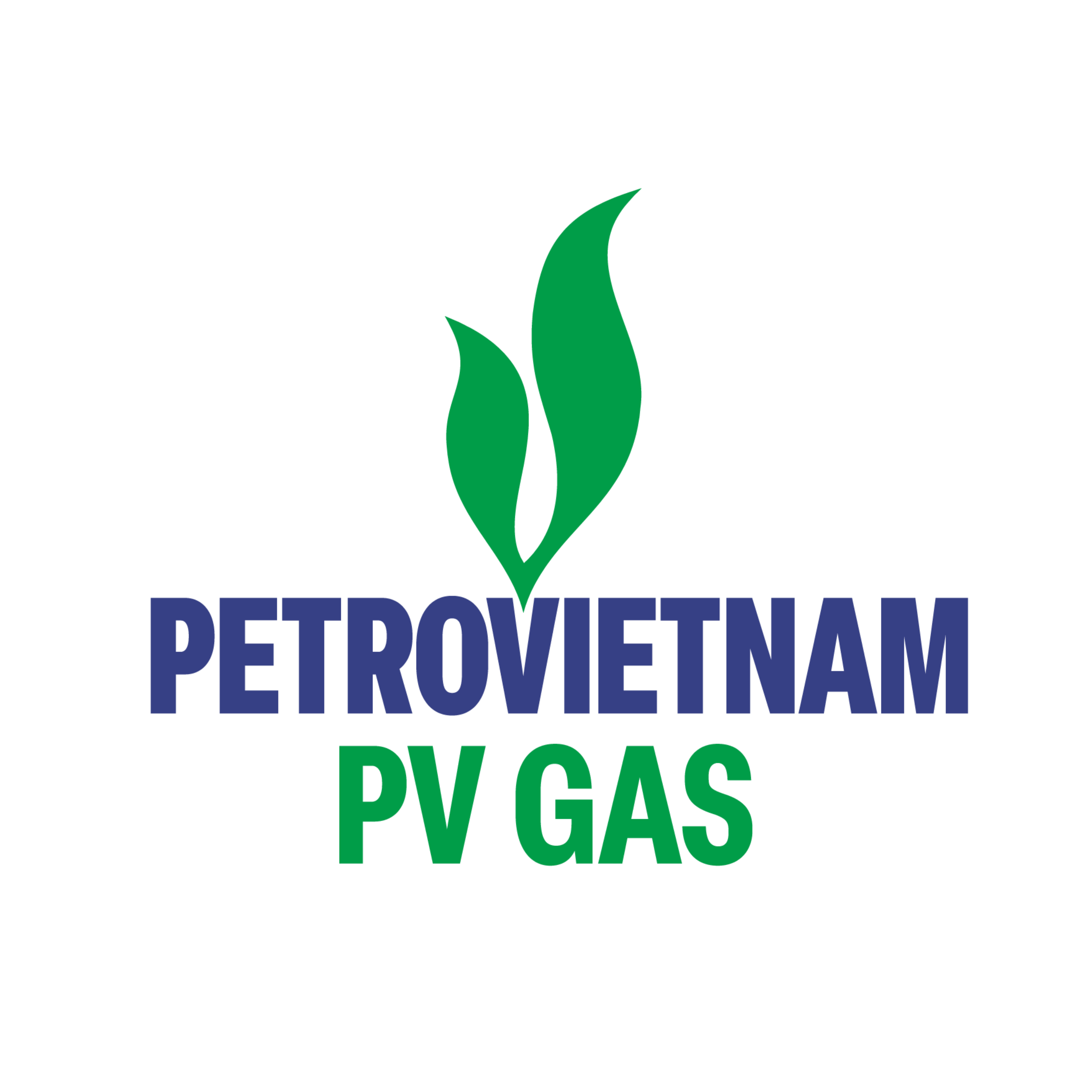 PVGAS Logo